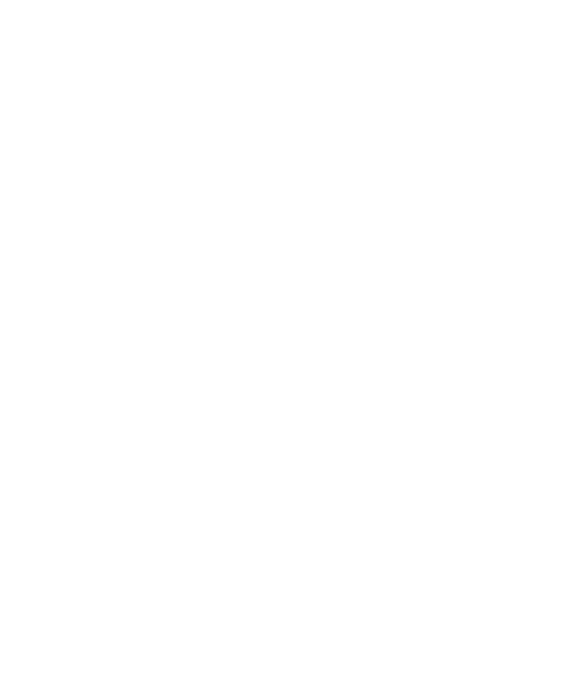 Instituto CF Soccer